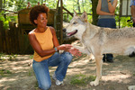 Wolf Experience - Fotos M.Fellner