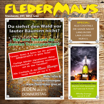 Single party steiermark