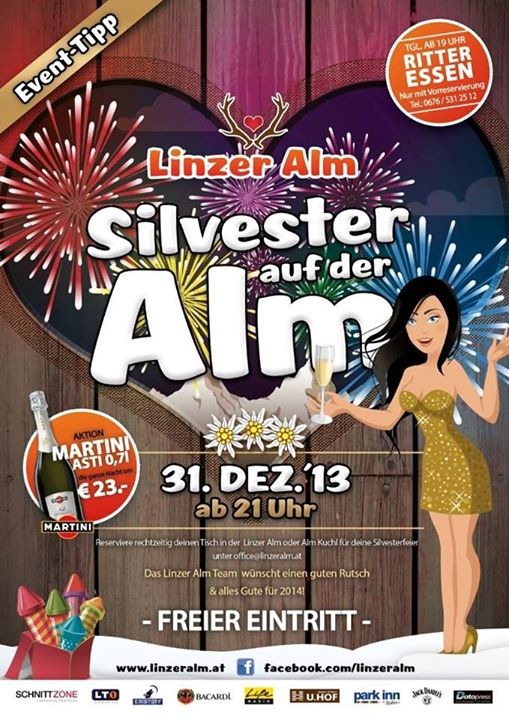 Silvester single party linz
