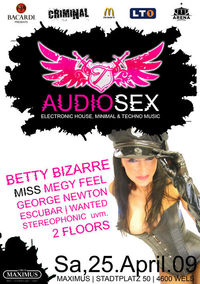 Audiosex vol. 2